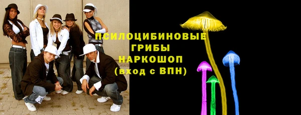 mix Касимов