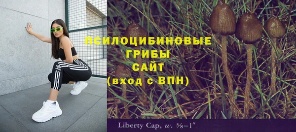 альфа пвп Карталы