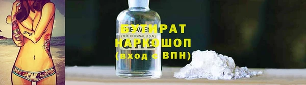 трава Карпинск