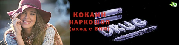 трава Карпинск