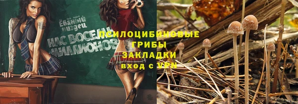 mix Касимов