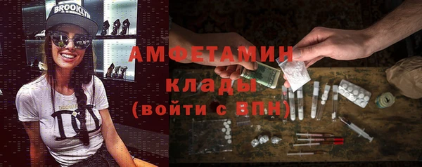 трава Карпинск