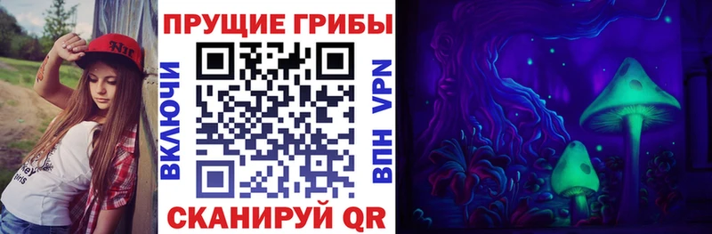 ссылка на мегу вход  shop какой сайт  Псилоцибиновые грибы GOLDEN TEACHER  Ростов-на-Дону 